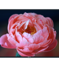 Tivi cường lực Arirang 65 inch - 65UV22