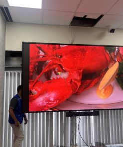 Màn Hình LED 85 inch