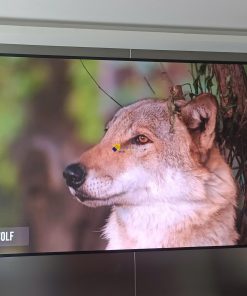Màn Hình LED 110 inch
