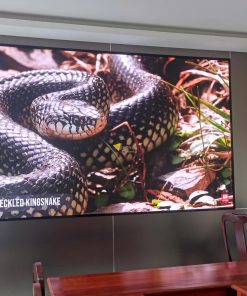 Màn Hình LED 110 inch z5824682391409 a6fe8170e87356d216ffdaa7904475c8