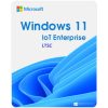 Phần mềm Microsoft Windows 11 Ent LTSC 2024 Upgrade Vĩnh viễn images 2