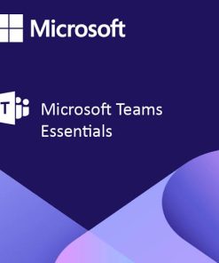 Phần mềm Microsoft Teams Essentials