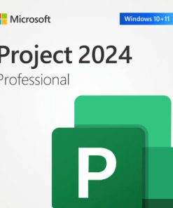 Phần mềm Microsoft Project Professional 2024 (EP2-07001)